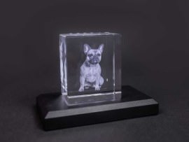 3d glass block with dog