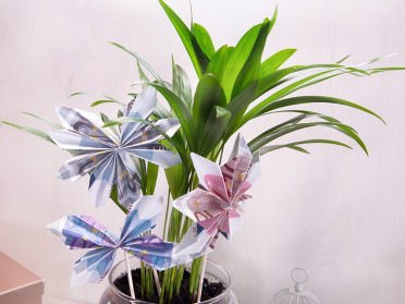 Flowers with money in a jar