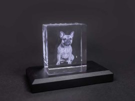 3D crystal photo with dog