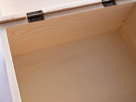 engraved treasure chest open lid